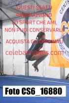 CS6_16880-