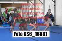 CS6_16887-