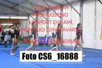 CS6_16888-