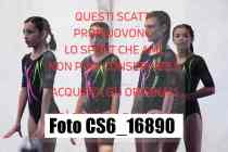 CS6_16890-