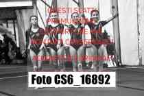 CS6_16892-