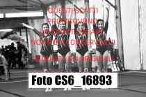 CS6_16893-
