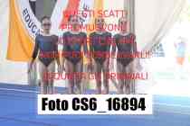 CS6_16894-