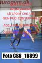 CS6_16899-
