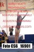 CS6_16901-