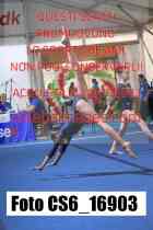 CS6_16903-