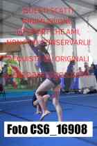 CS6_16908-