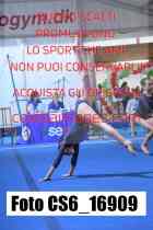 CS6_16909-