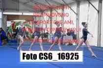 CS6_16925-