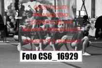 CS6_16929-