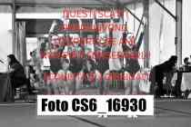 CS6_16930-