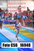 CS6_16948-