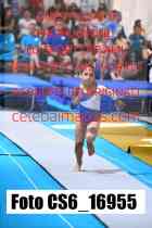 CS6_16955-
