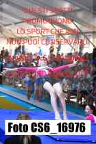 CS6_16976-