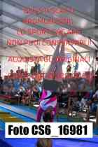 CS6_16981-