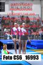 CS6_16993-
