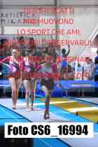 CS6_16994-