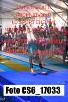 CS6_17033-