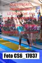 CS6_17037-