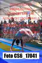 CS6_17041-