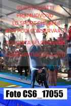 CS6_17055-