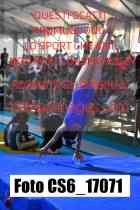 CS6_17071-
