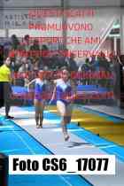 CS6_17077-