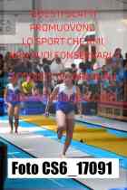 CS6_17091-
