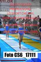 CS6_17111-