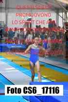 CS6_17116-
