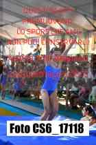 CS6_17118-