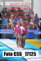 CS6_17125-