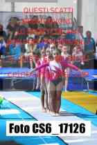 CS6_17126-