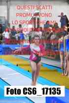 CS6_17135-