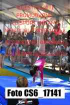 CS6_17141-