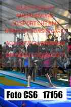 CS6_17156-