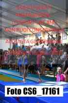 CS6_17161-