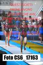CS6_17163-