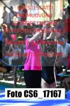 CS6_17167-