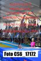 CS6_17172-