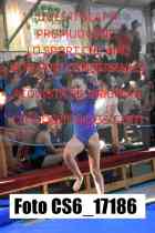 CS6_17186-