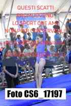 CS6_17197-