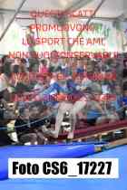 CS6_17227-
