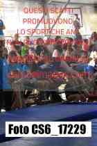 CS6_17229-