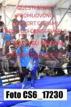 CS6_17230-