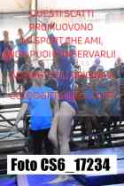 CS6_17234-