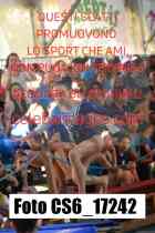 CS6_17242-