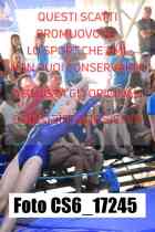 CS6_17245-