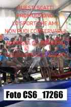 CS6_17266-