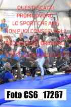 CS6_17267-
